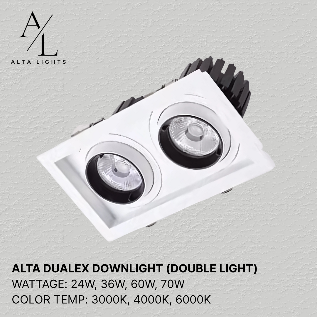 ALTA Dualex Downlight