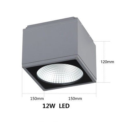 Flava Down Light (Square)