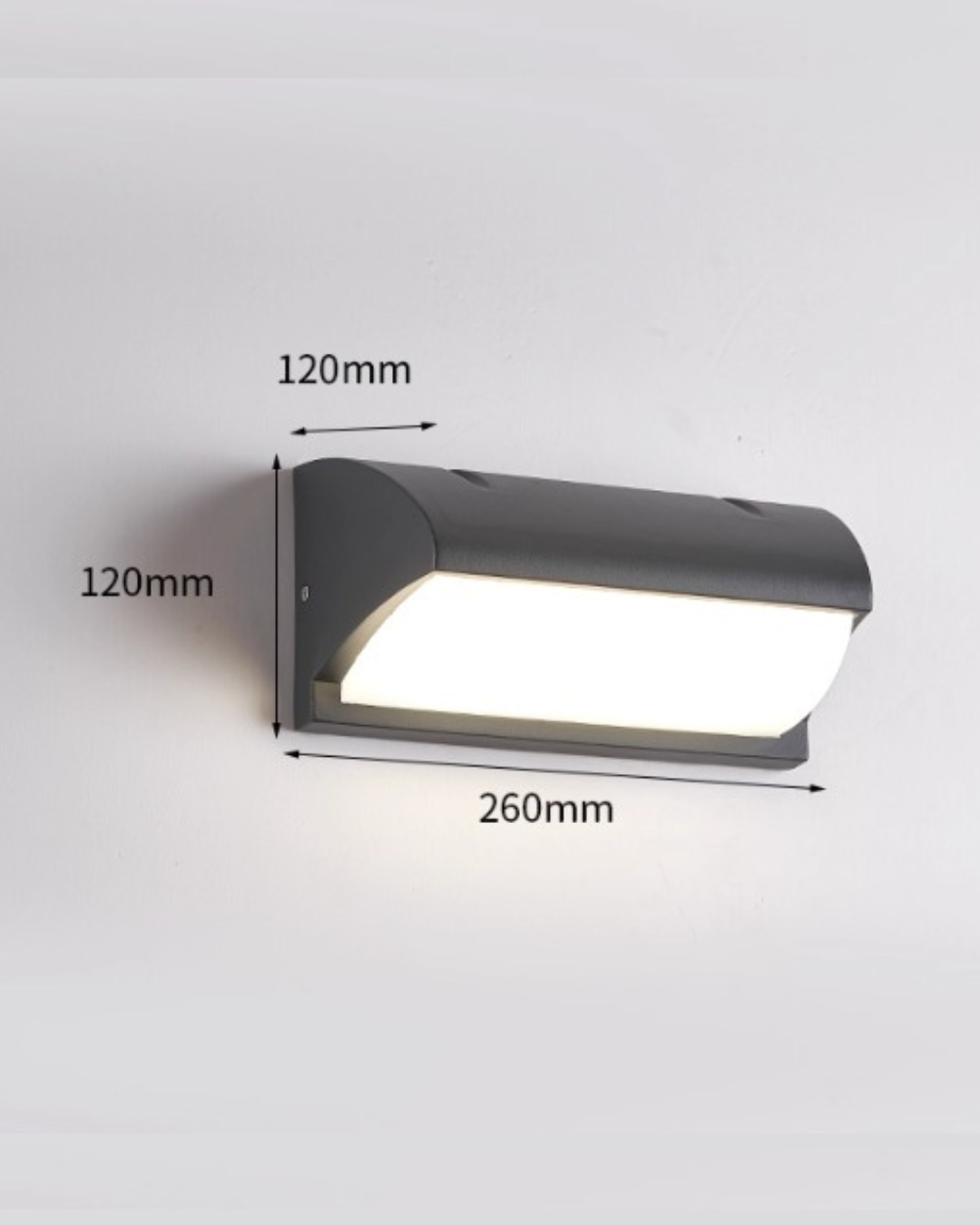 Luna Outdoor Wall Light