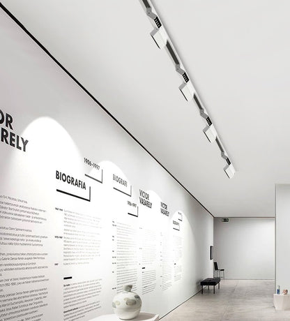 Linear Track Light (Adjustable)