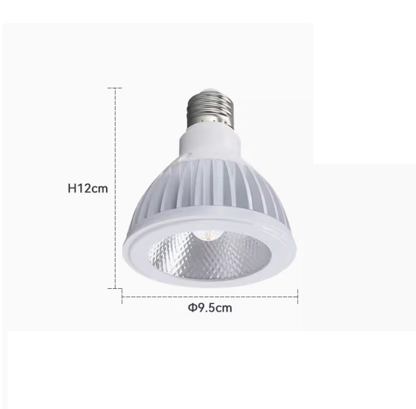 PAR 38 BULB