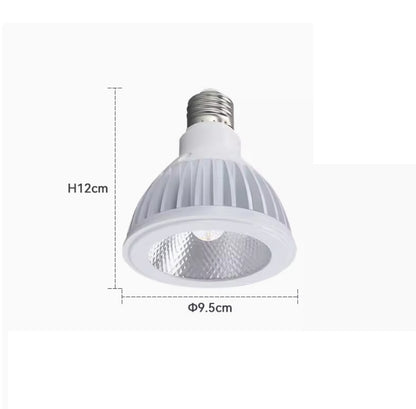 PAR 38 BULB