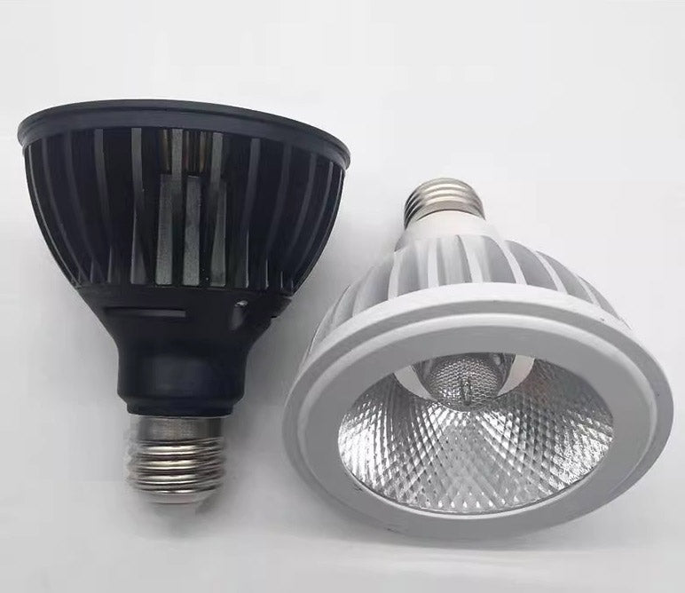 PAR 38 BULB