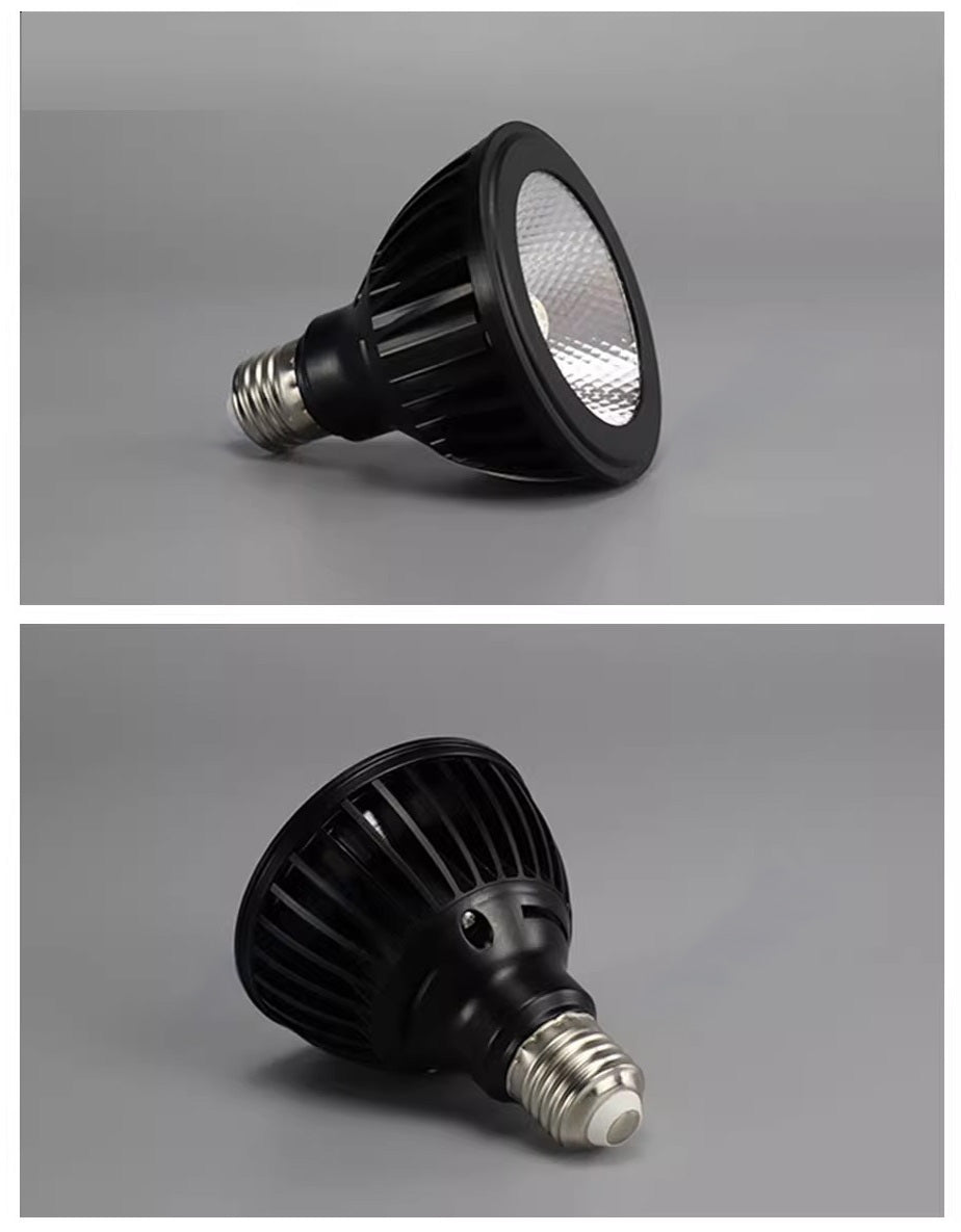 PAR 38 BULB