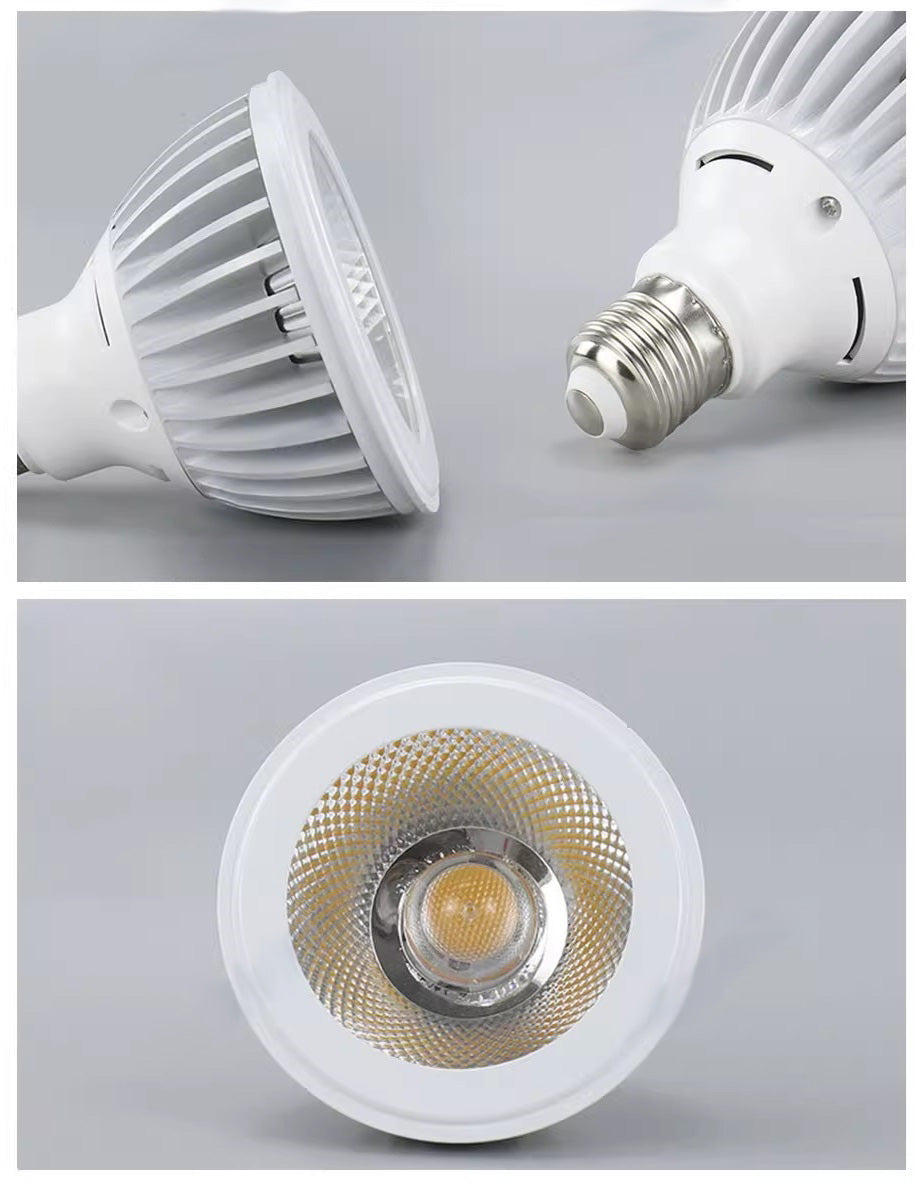 PAR 38 BULB