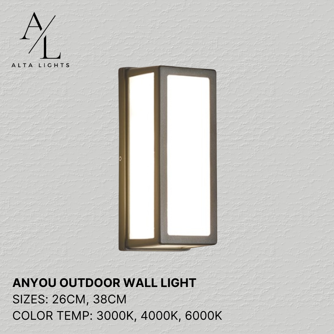Anyou Outdoor Wall Light