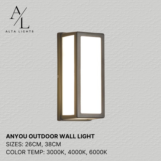 Anyou Outdoor Wall Light