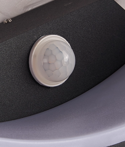 Aruna Outdoor Wall Light