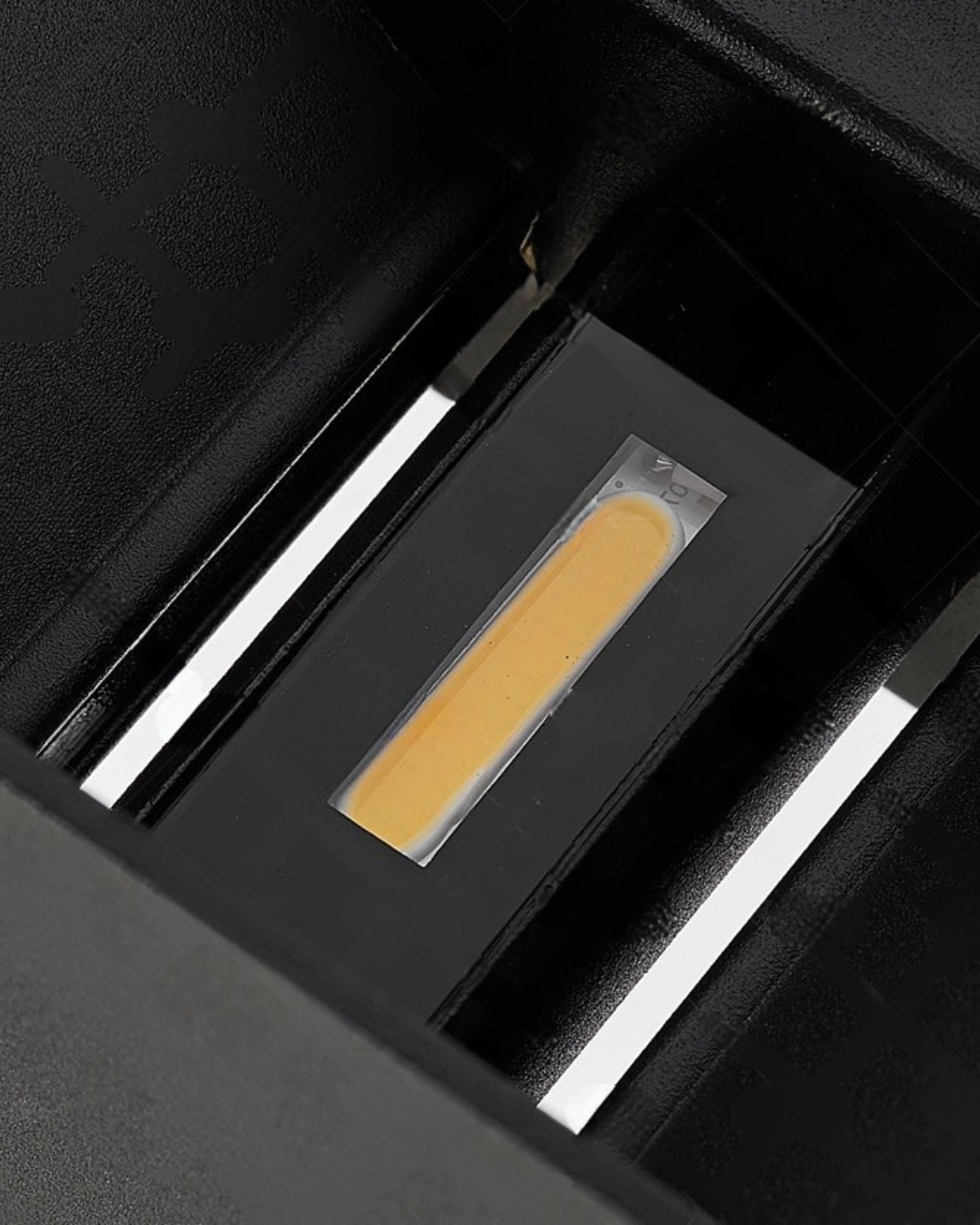 Azurea Outdoor Wall Light