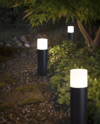 Dawson Bollard Lights
