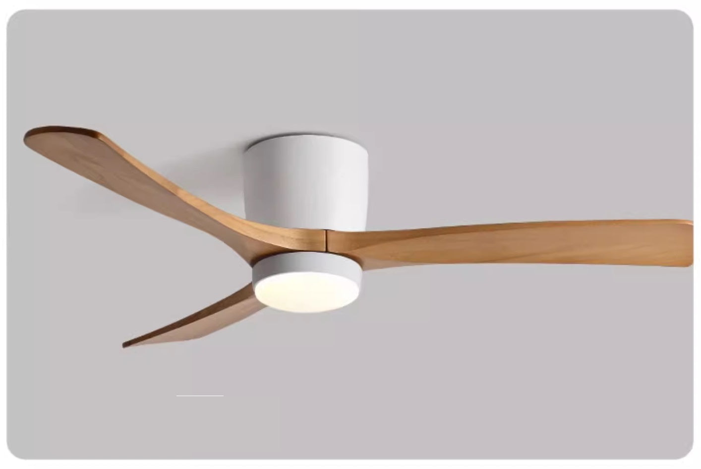 Denver Ceiling Fan