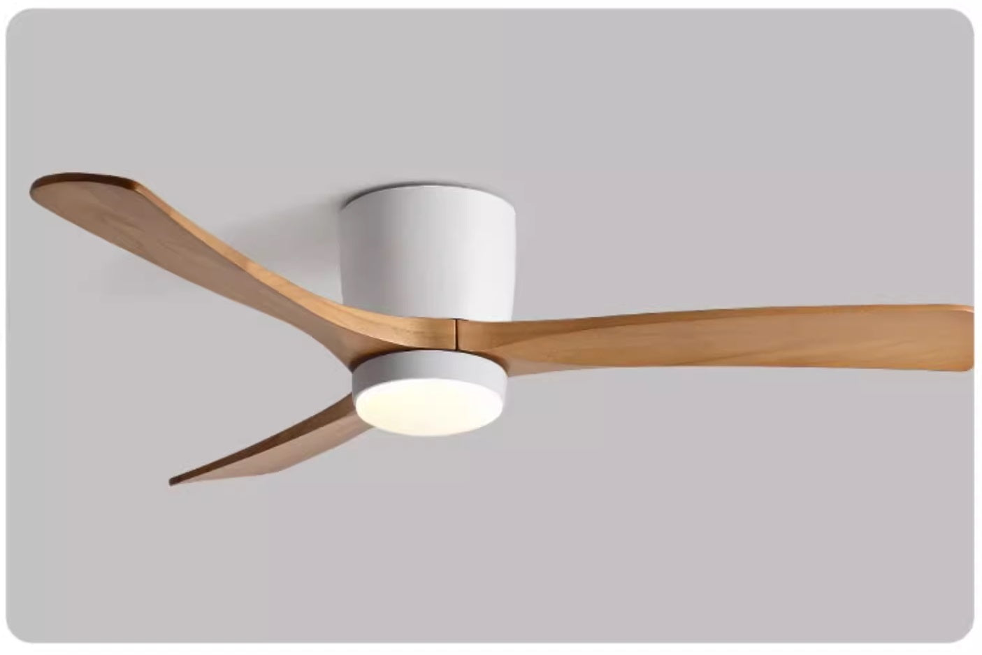 Denver Ceiling Fan
