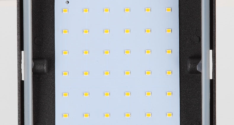 Fallon Outdoor Wall Light