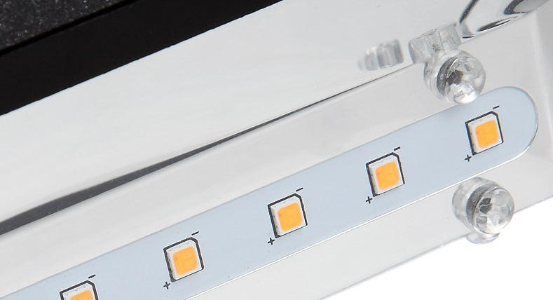 Fidel Outdoor Wall Light