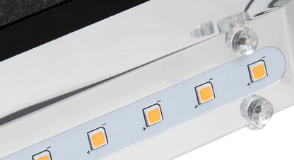 Fidel Outdoor Wall Light