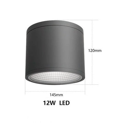 Flava Down Light (Round)