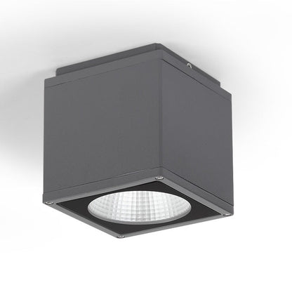 Flava Down Light (Square)