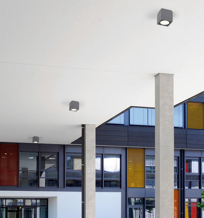 Flava Down Light (Square)