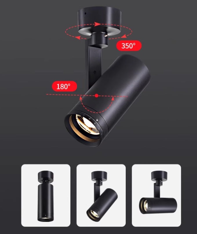 Focus Flex Track Light / Ceiling Mounted