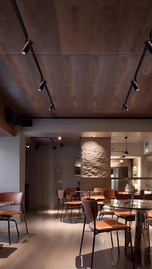 Focus Flex Track Light / Ceiling Mounted