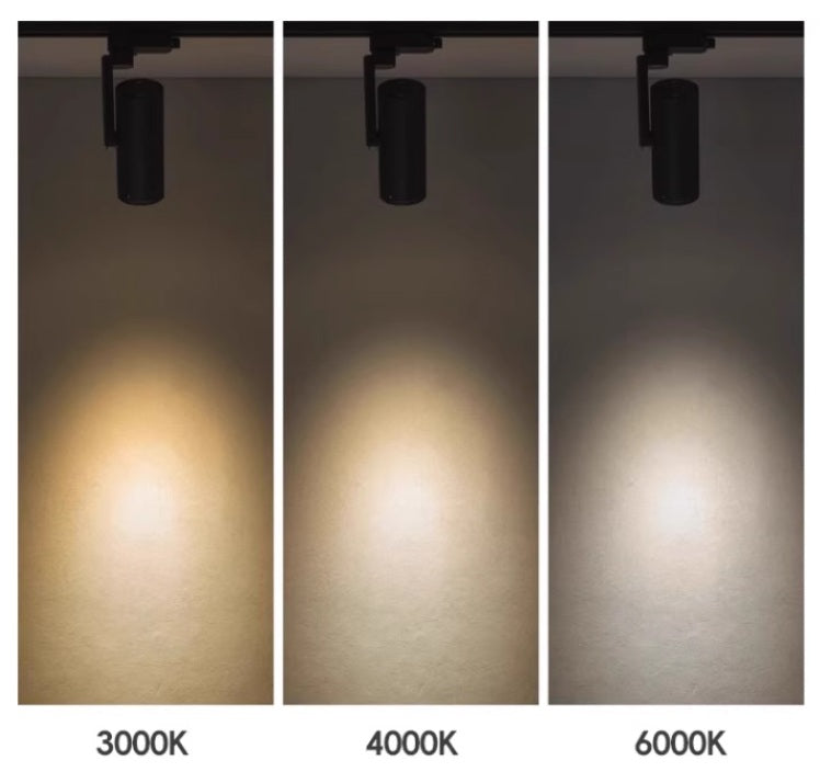 Focus Flex Track Light / Ceiling Mounted