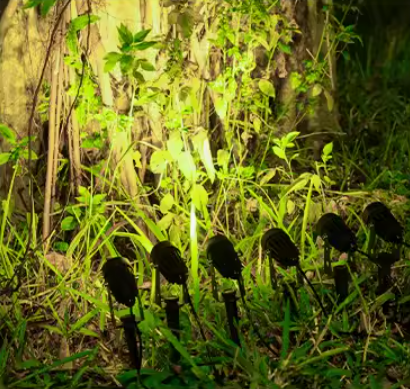 Solar Garden Spotlight