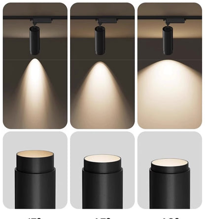 Glide Focus Track Light