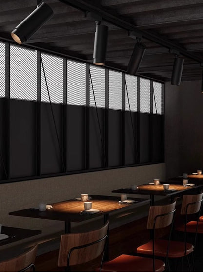 Glide Focus Track Light