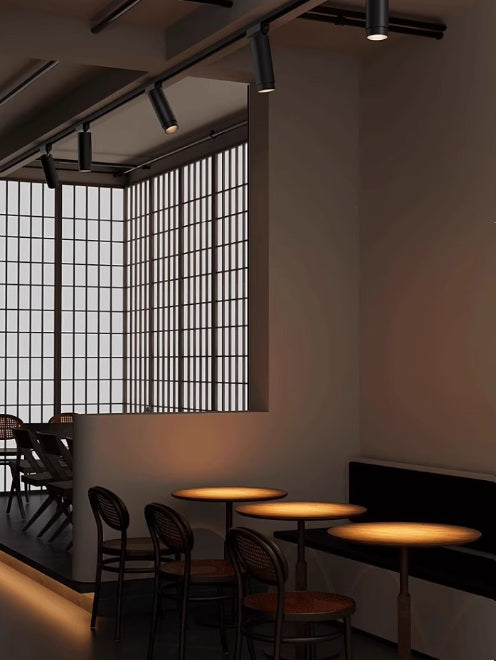 Glide Focus Track Light