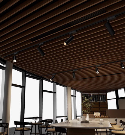 Glide Focus Track Light