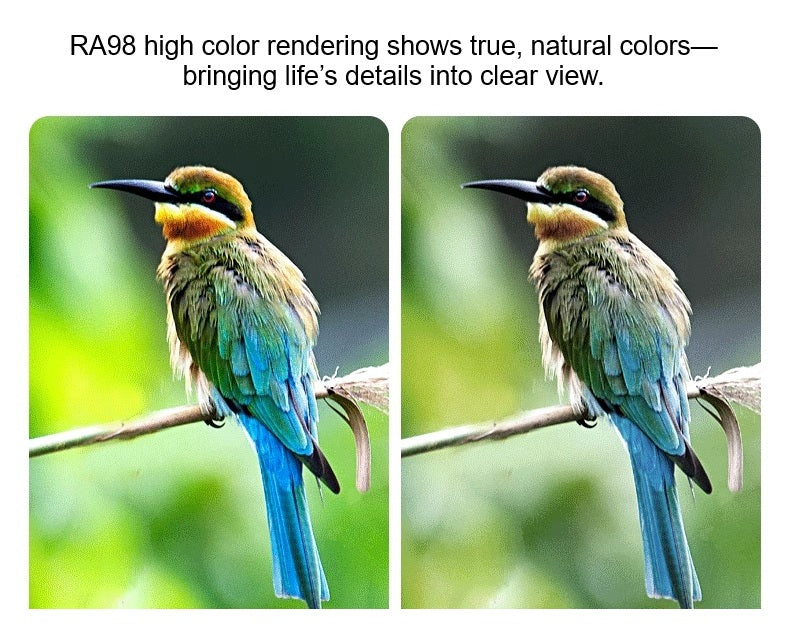 Glowline Adjustable Spotlight