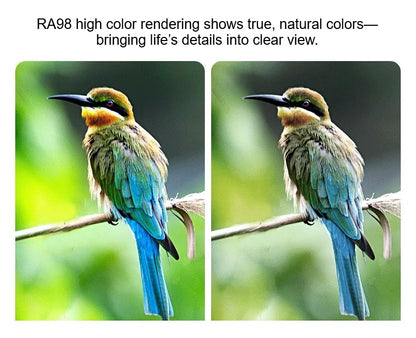 Glowline Adjustable Spotlight