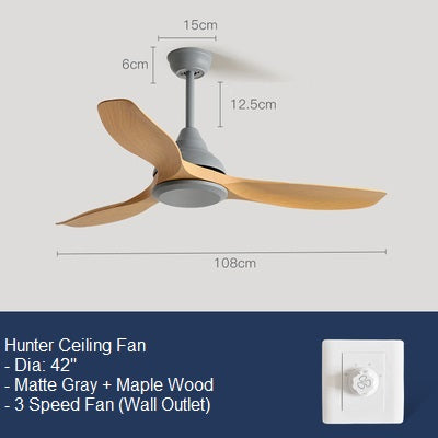 Hunter Ceiling Fan