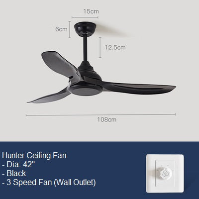Hunter Ceiling Fan