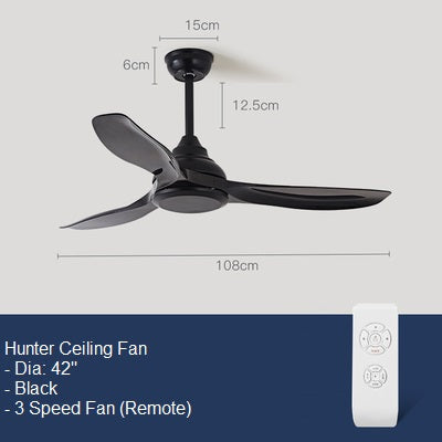 Hunter Ceiling Fan