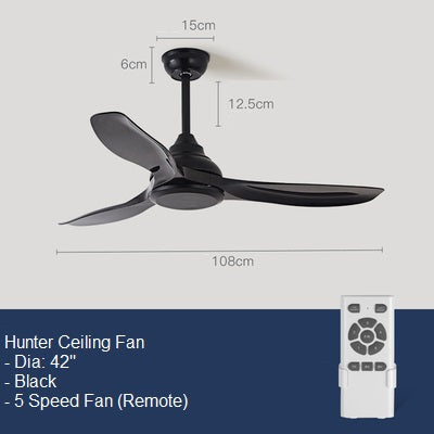 Hunter Ceiling Fan