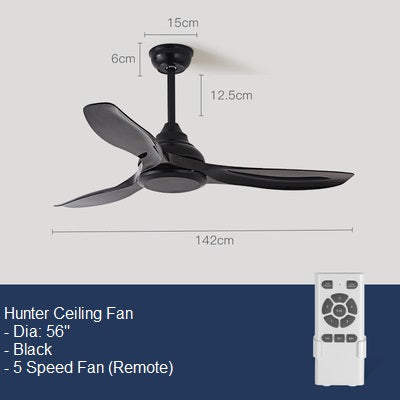 Hunter Ceiling Fan