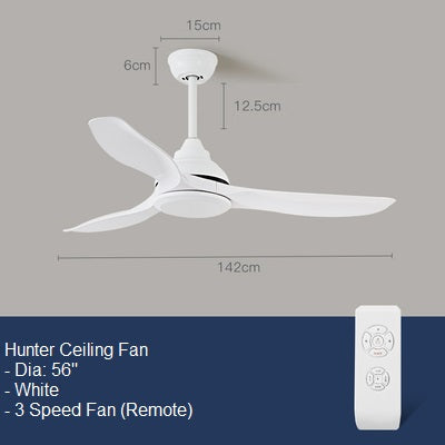 Hunter Ceiling Fan