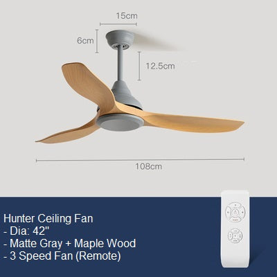 Hunter Ceiling Fan