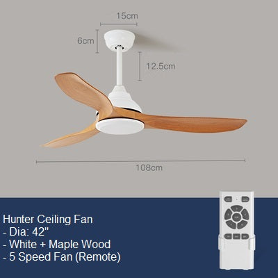 Hunter Ceiling Fan