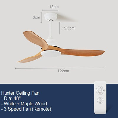 Hunter Ceiling Fan