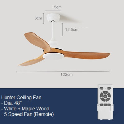 Hunter Ceiling Fan