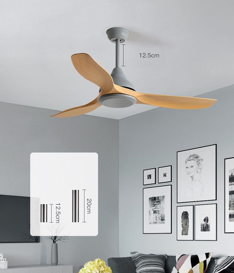 Hunter Ceiling Fan