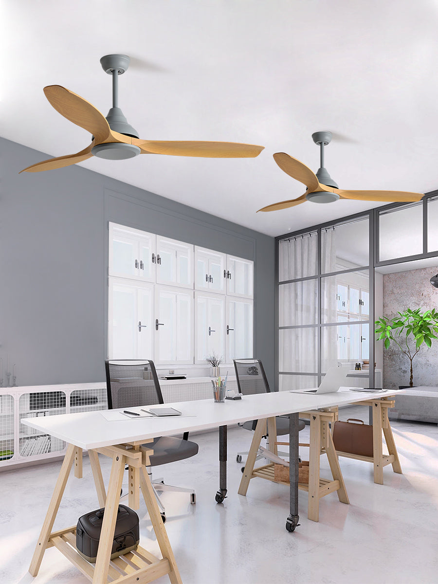 Hunter Ceiling Fan