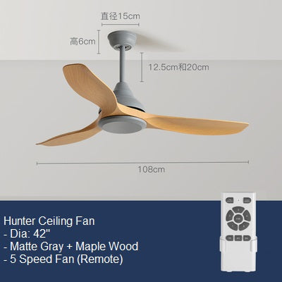 Hunter Ceiling Fan