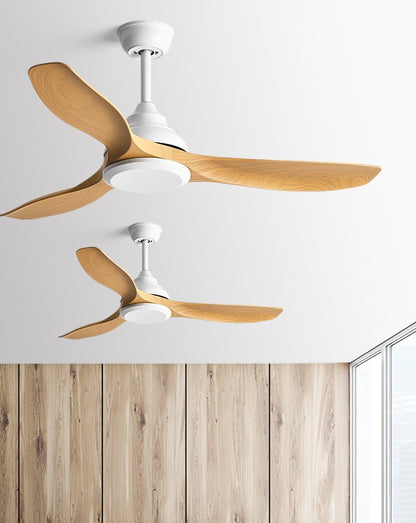 Hunter Ceiling Fan