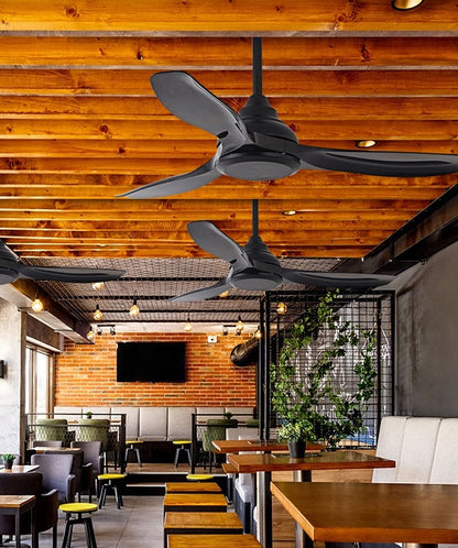 Hunter Ceiling Fan