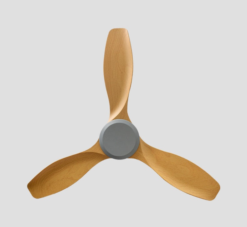 Hunter Ceiling Fan