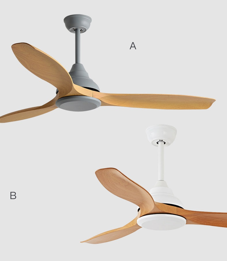 Hunter Ceiling Fan