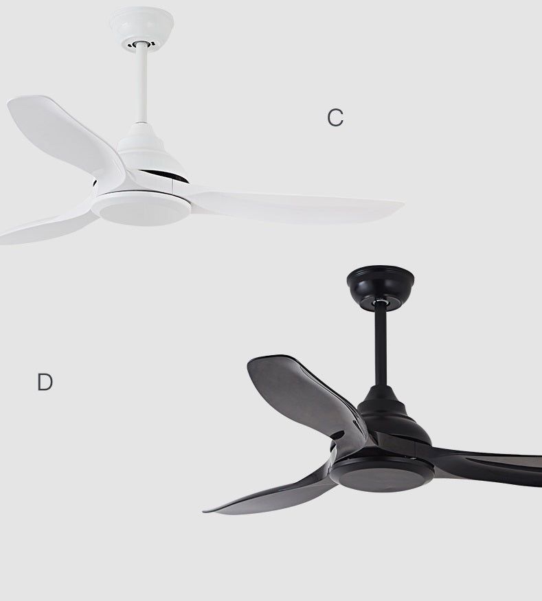 Hunter Ceiling Fan